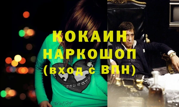 spice Алексин