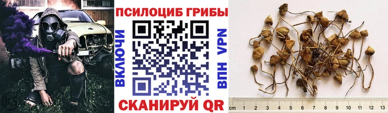 Псилоцибиновые грибы прущие грибы  магазин продажи наркотиков  Углегорск 